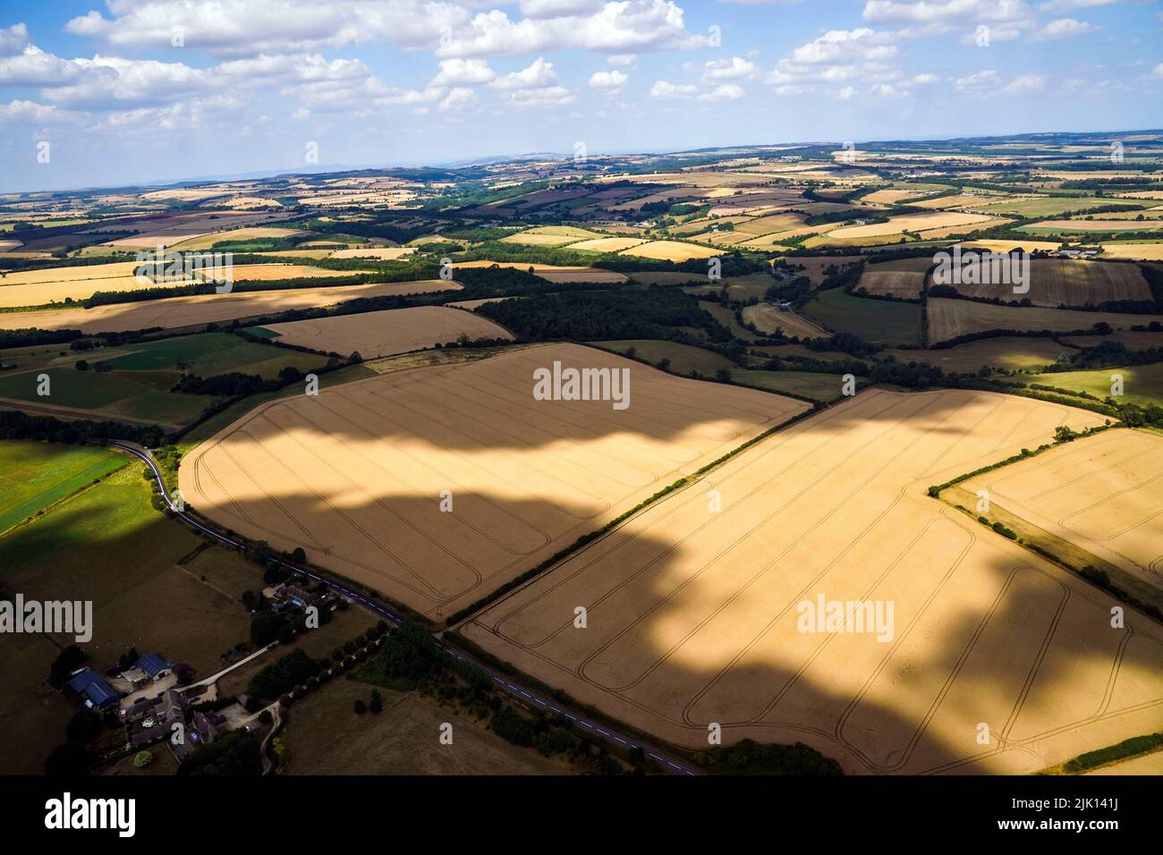 Un campo de trigo cerca del aeropuerto de Cotswold, Gloucestershire. Fecha de la foto: Viernes 29 de julio de 2022. Foto de stock