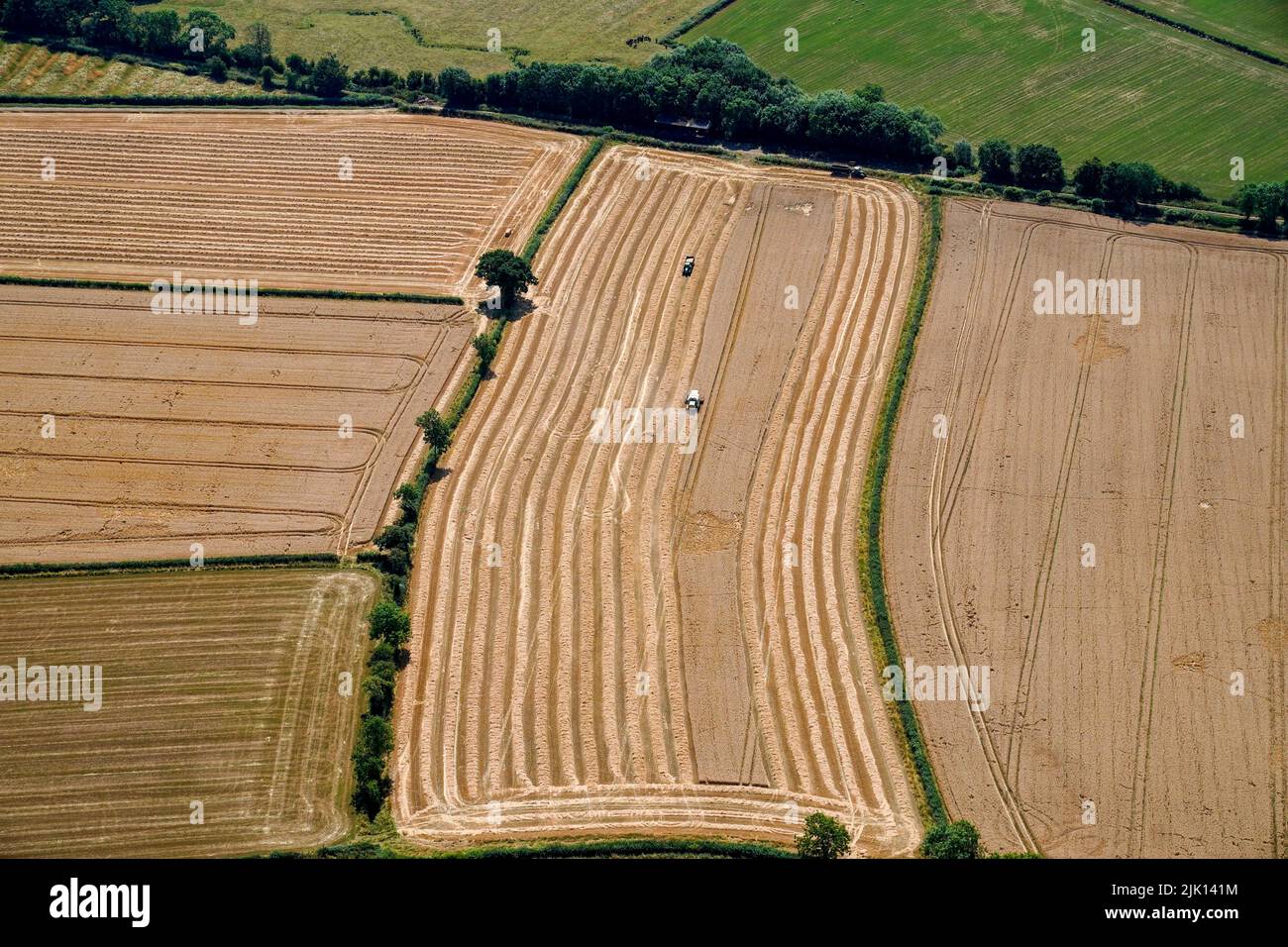 Un campo de trigo cerca del aeropuerto de Cotswold, Gloucestershire. Fecha de la foto: Viernes 29 de julio de 2022. Foto de stock