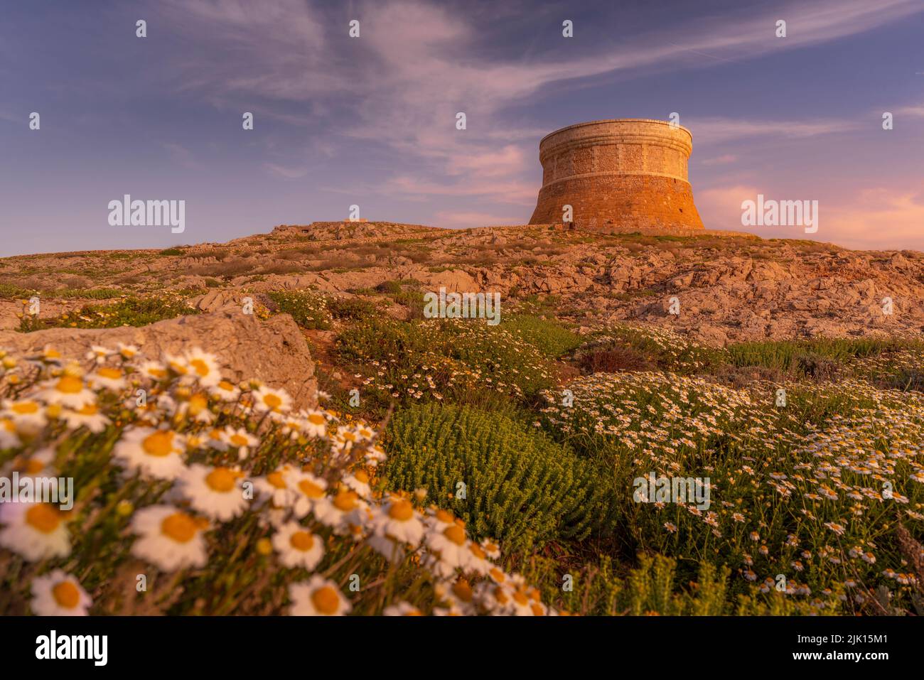 Vista de la fortaleza de la Torre de Fornelles y flores primaverales al atardecer en Fornelles, Fornelles, Menorca, Islas Baleares, España, Mediterráneo, Europa Foto de stock