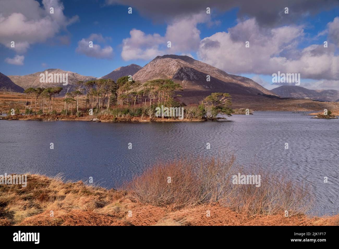 Irlanda, Condado de Galway, Connemara, Derryclare Lough visto desde Pine Island Viewpoint con la cadena montañosa Twelve Bens al fondo. Foto de stock