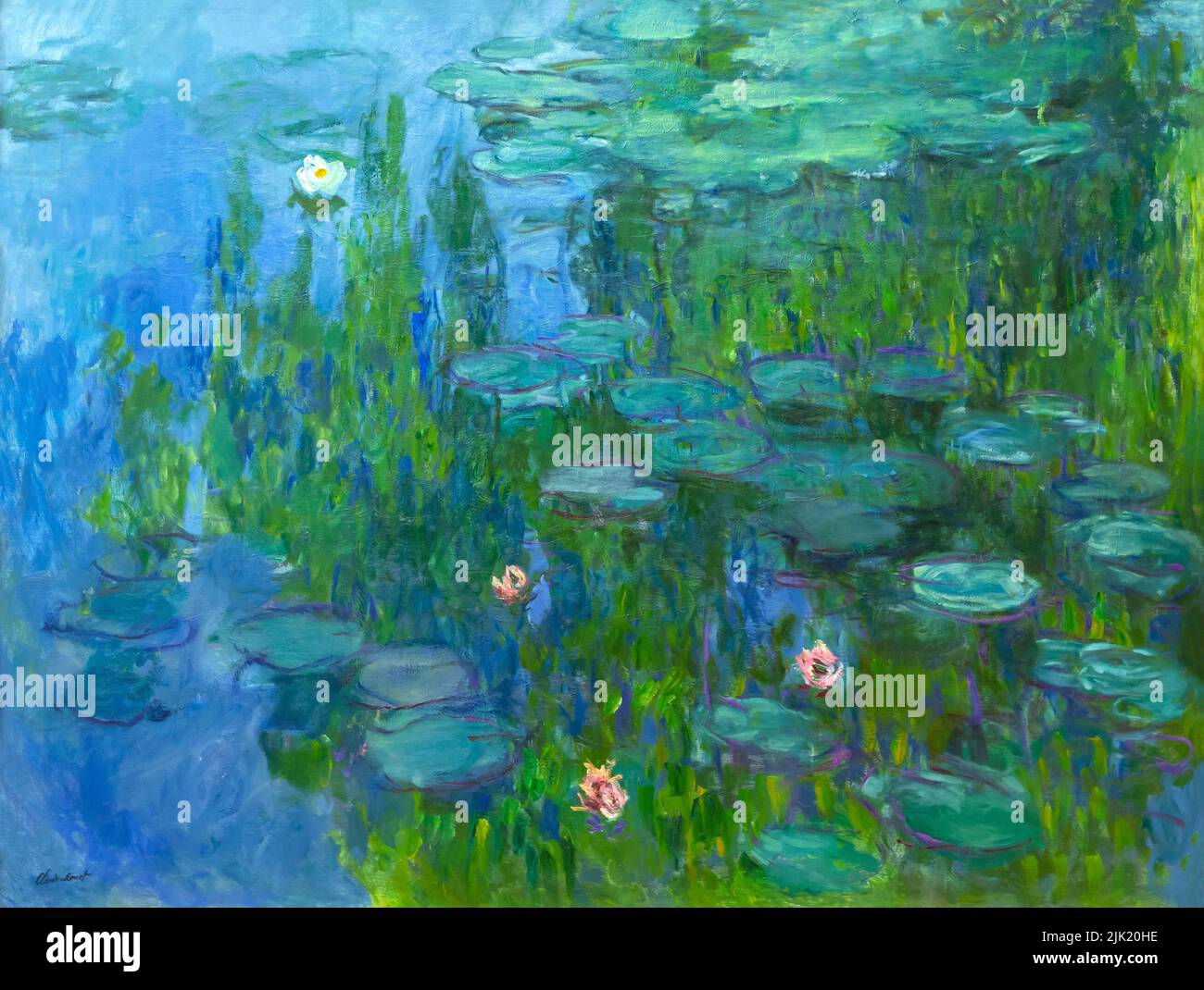 Water Lilies, Claude Monet, circa 1915, Neue Pinakothek, Múnich, Alemania Foto de stock