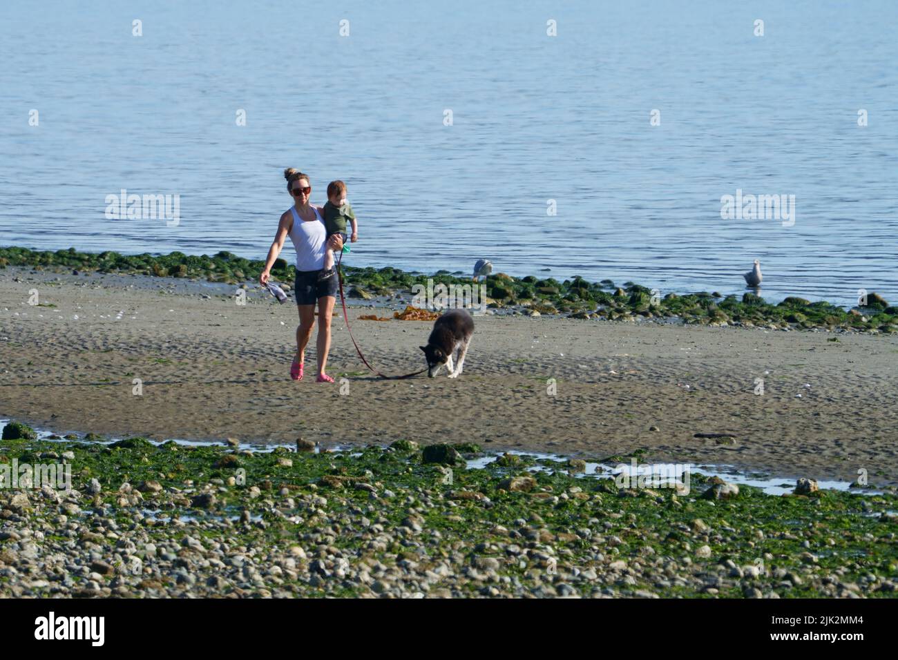 Mujer con niño que camina perro en la playa Foto de stock