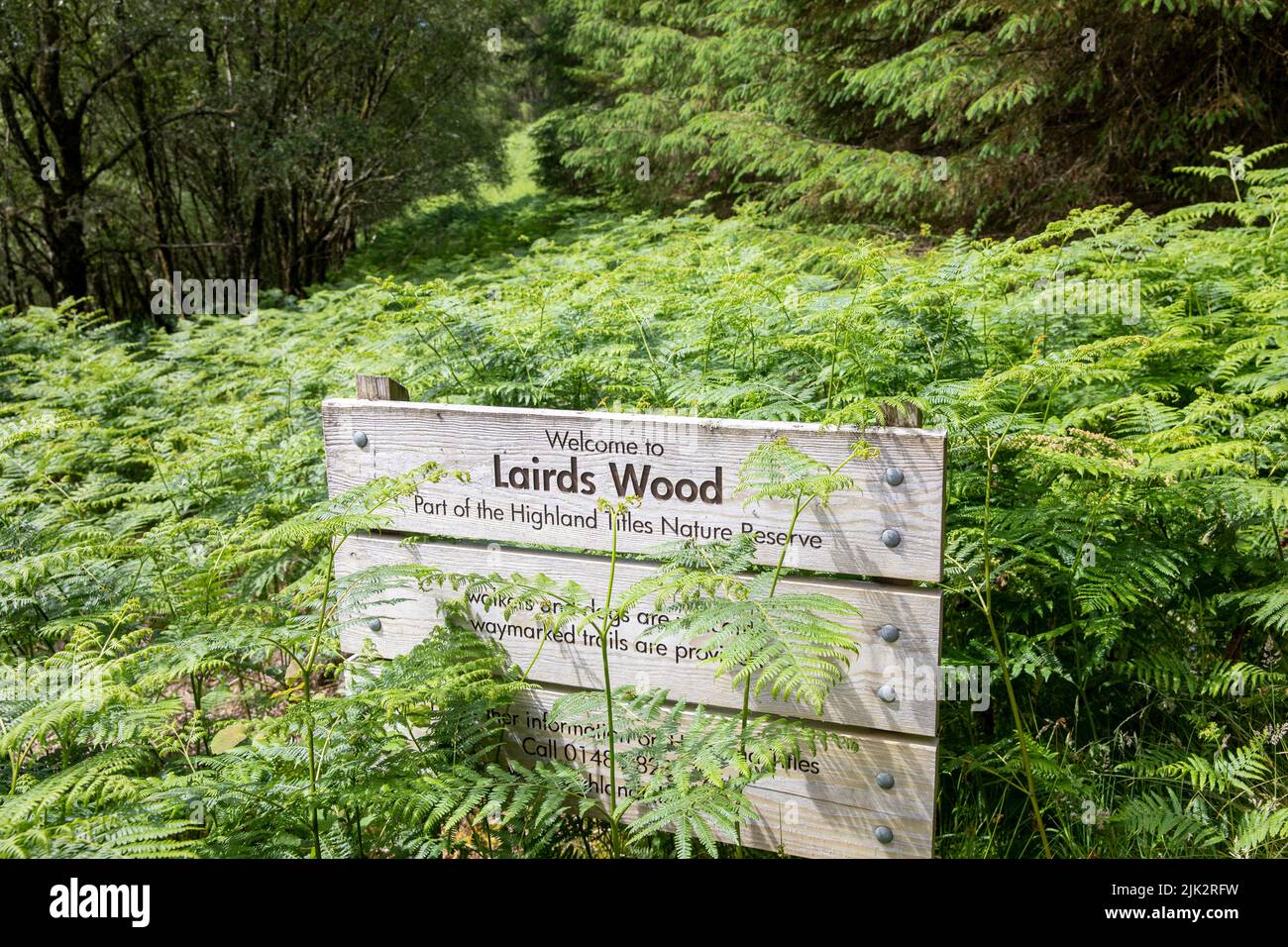Madera de Lairds, parte de los títulos de la reserva natural de las Tierras Altas escocesas, cerca de Glencoe, Escocia, Reino Unido, verano de 2022 Foto de stock