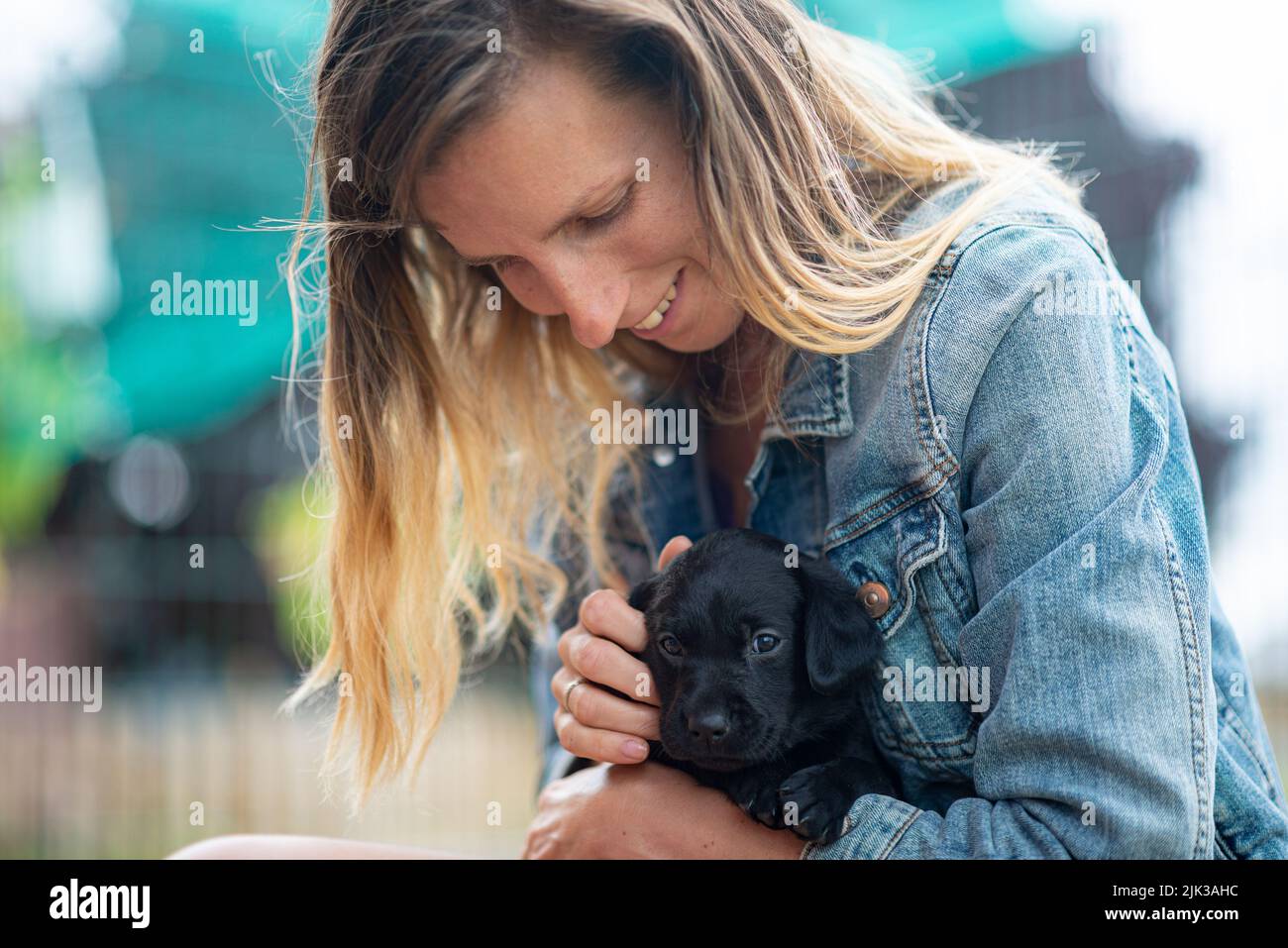 Mujer joven acariciando a un cachorro labrador negro de cachorro de cachorro. Foto de stock