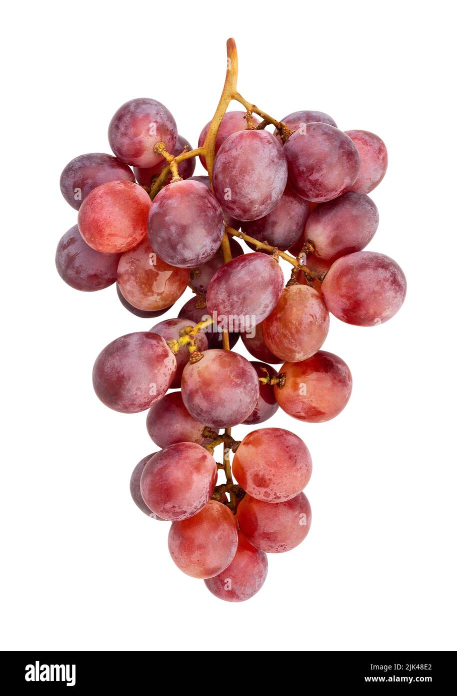 camino de uva rojo aislado sobre blanco Foto de stock