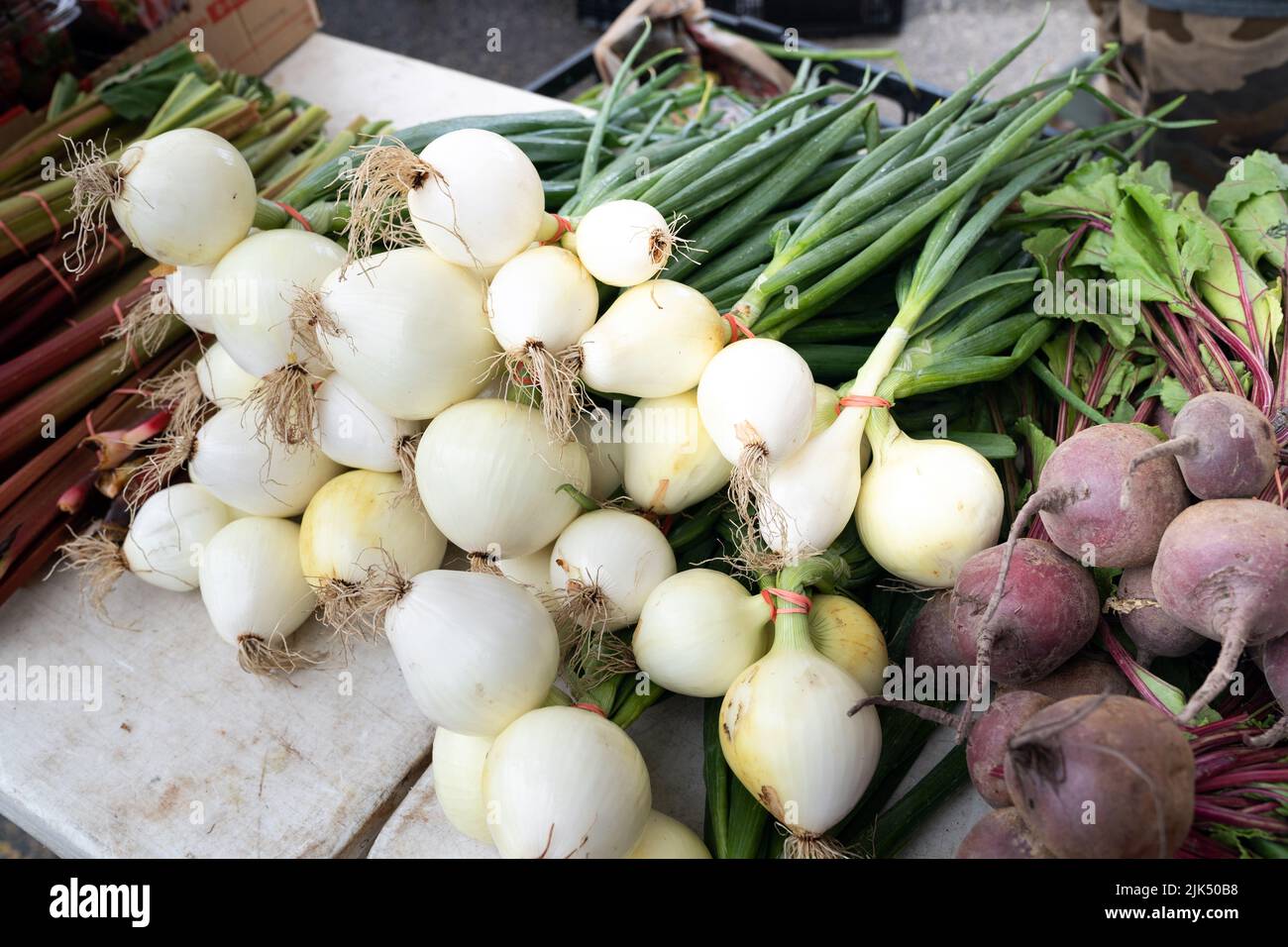 Cebollas orgánicas verdes frescas con bulbos blancos para la venta en el mercado de agricultores Foto de stock