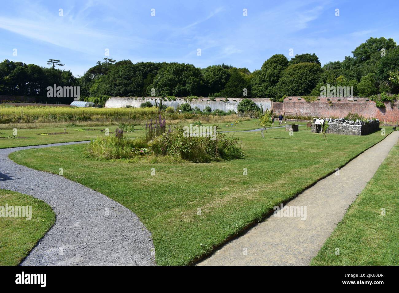 Stackpole Amurished Gardens, Stackpole Court, Stackpole, Pembrokeshire, Gales Foto de stock