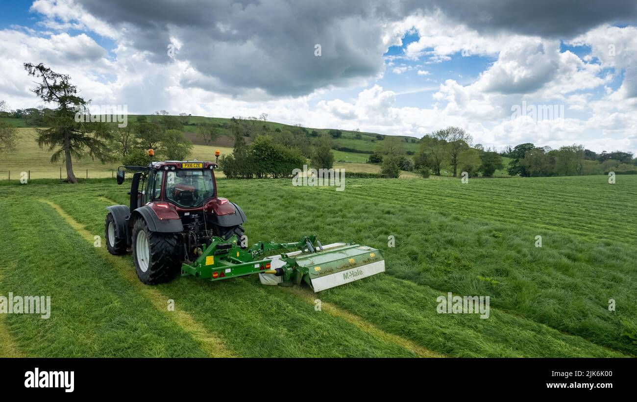 Siega una cosecha de hierba en una granja en el valle del Edén cerca de Kirkby Stephen, Cumbria. Foto de stock