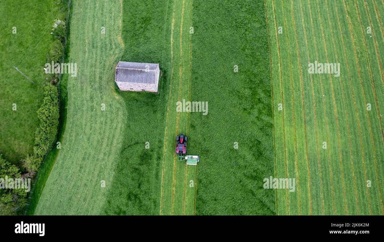 Siega una cosecha de hierba en una granja en el valle del Edén cerca de Kirkby Stephen, Cumbria. Vista de drone Foto de stock