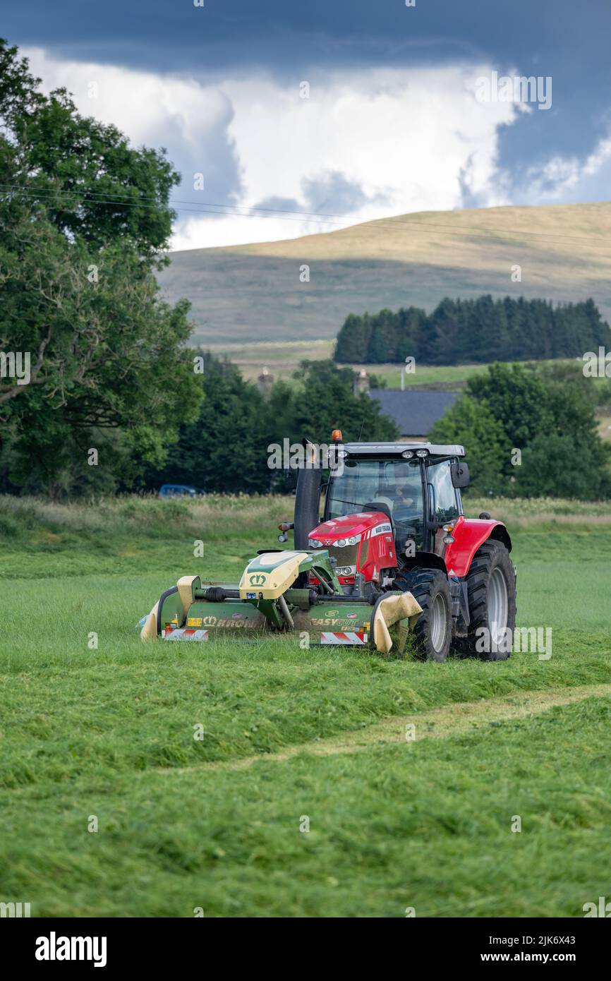 Segado de un prado para ensilado con un tractor Massey Ferguson 7718 y una combinación de segado Krone montado en la parte delantera y lateral. Cumbria, Reino Unido. Foto de stock