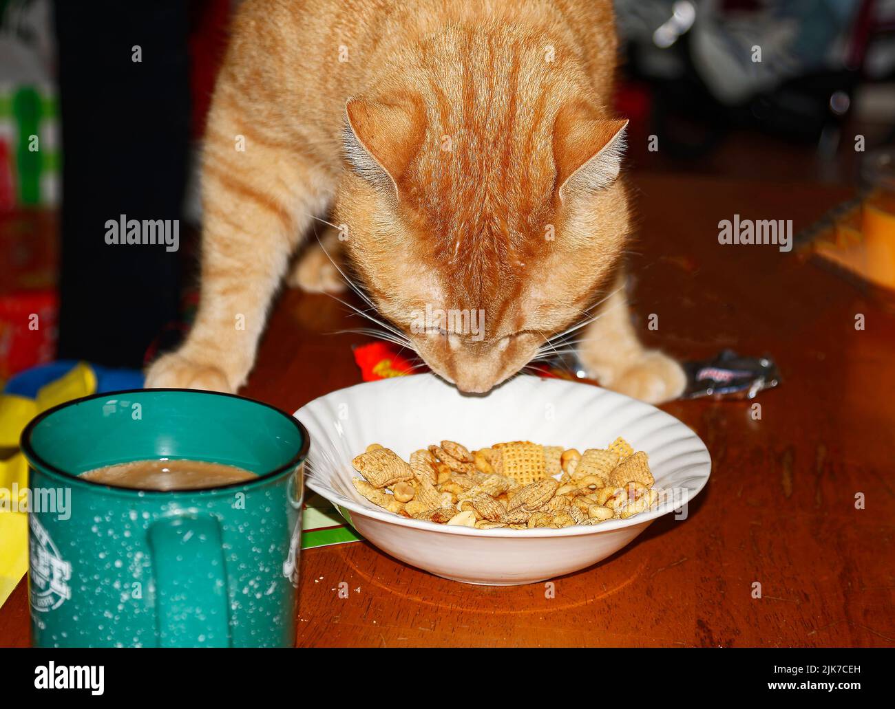naranja tabby cat, sniffing chex mix, aperitivos, tazón, taza, sobre la mesa, curioso, felino, animal doméstico, PR Foto de stock