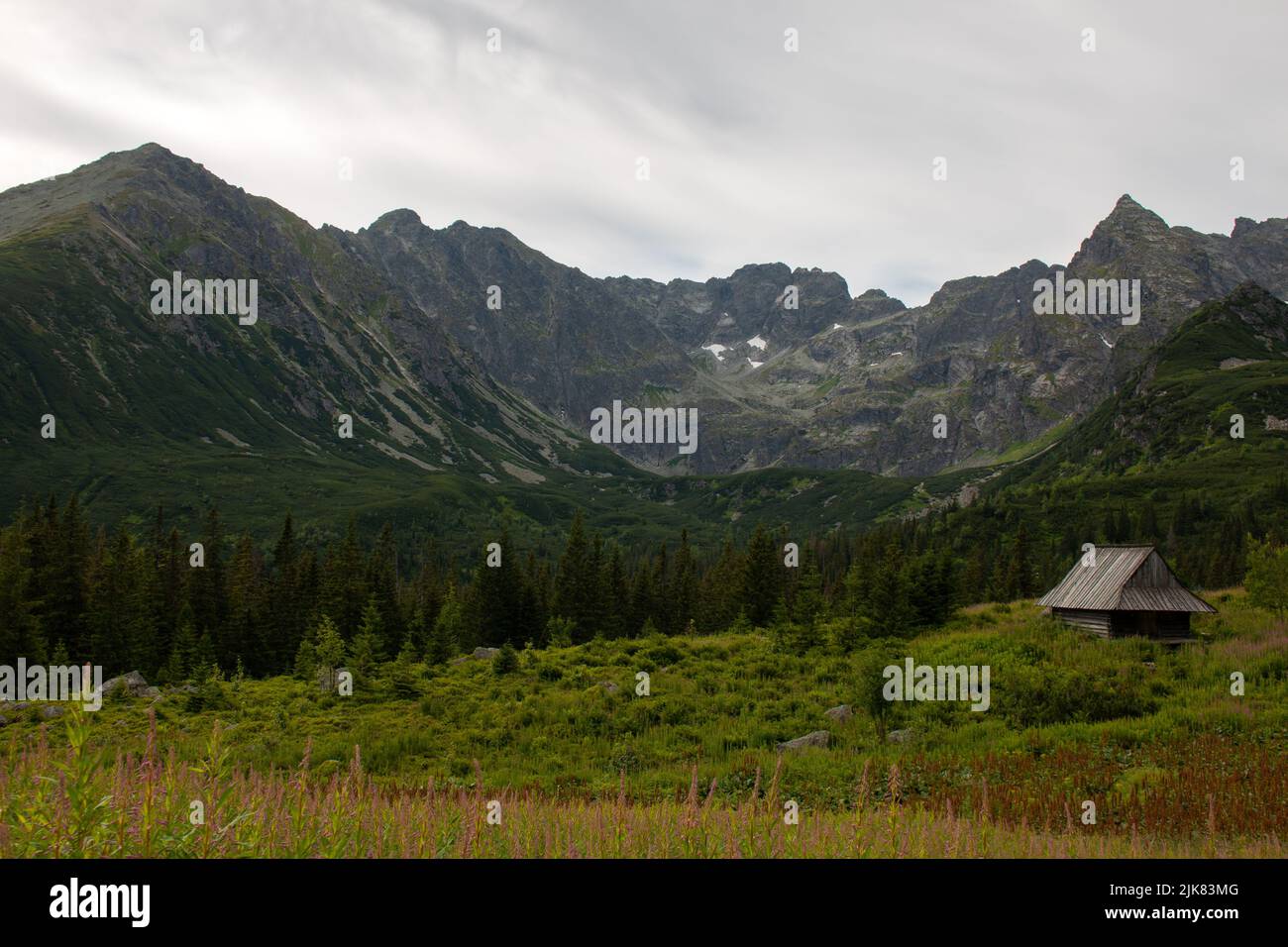 Una cabaña cerca de Murowaniec en las montañas polacas de Tatry, Polonia Foto de stock