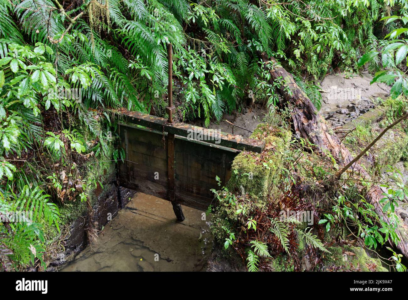 La histórica carrera de agua del esquema hidroeléctrico de seis millas que desvió el agua de Six Mile Creek y la envió a la reserva. Foto de stock