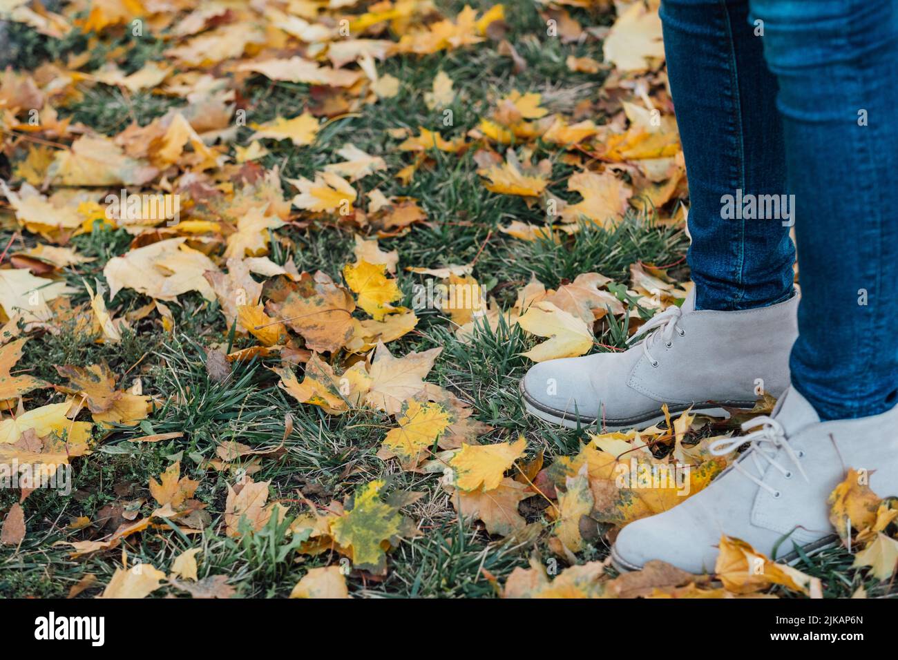 otoño parque caminar mujer hierba amarillo arce hojas Foto de stock