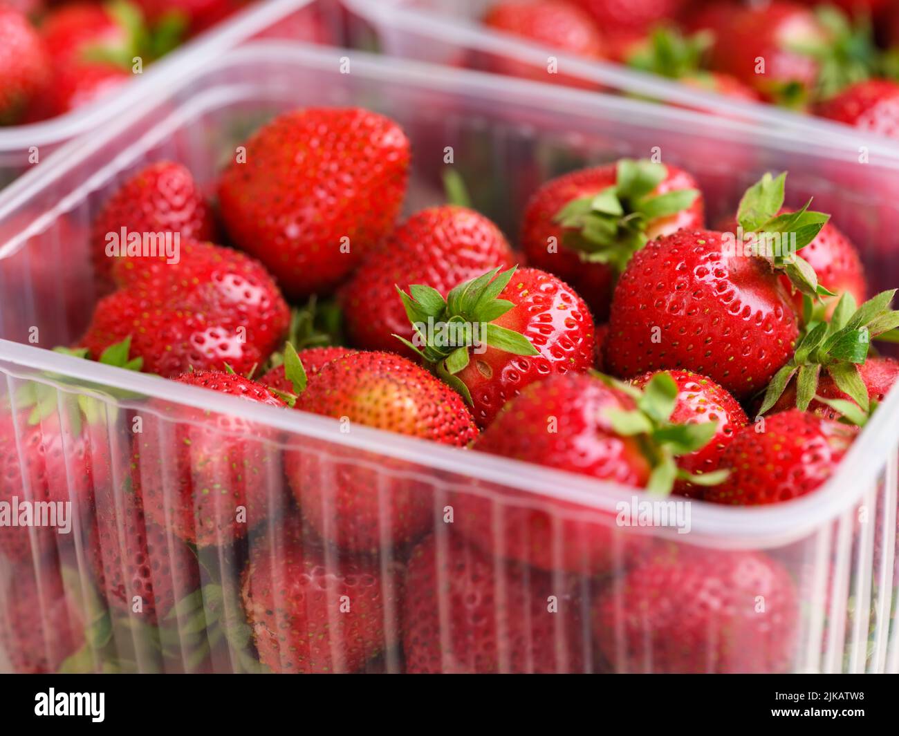 Un primer plano de un recipiente de plástico con fresas rojas orgánicas en él Foto de stock