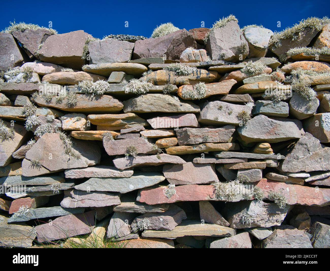 Un primer plano de una colorida pared de piedra seca en un día soleado. En las piedras crecen grumos de liquen de musgo de barba (usnea). Foto de stock