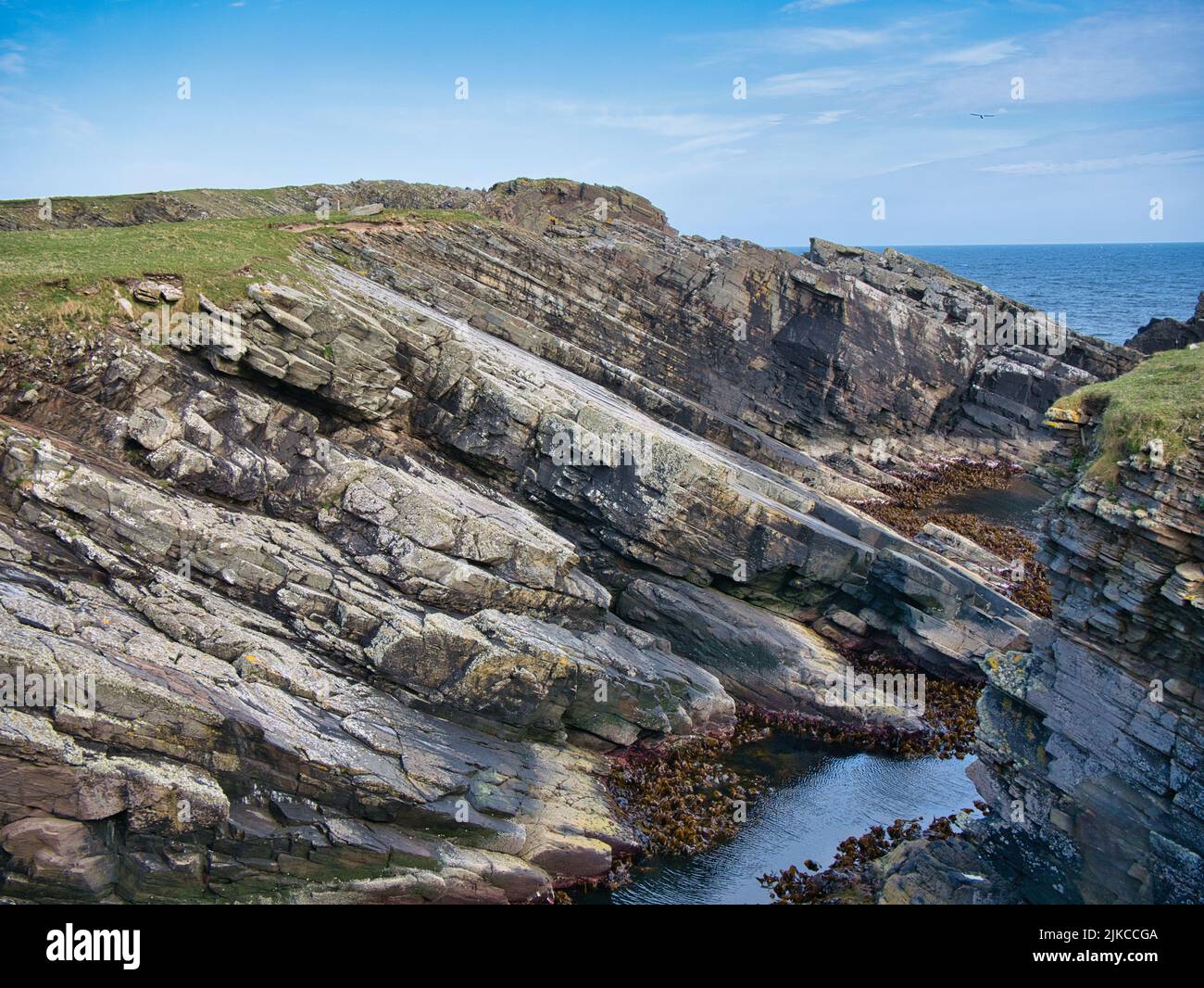 Estratos rocosos inclinados en los acantilados costeros de No Ness en el sudeste de Shetland. Lecho sedimentario de la formación de piedra de Bressay Foto de stock
