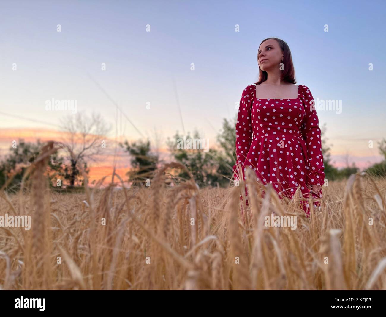 Mujer joven en vestido rojo de pie en el campo de trigo al atardecer Foto de stock