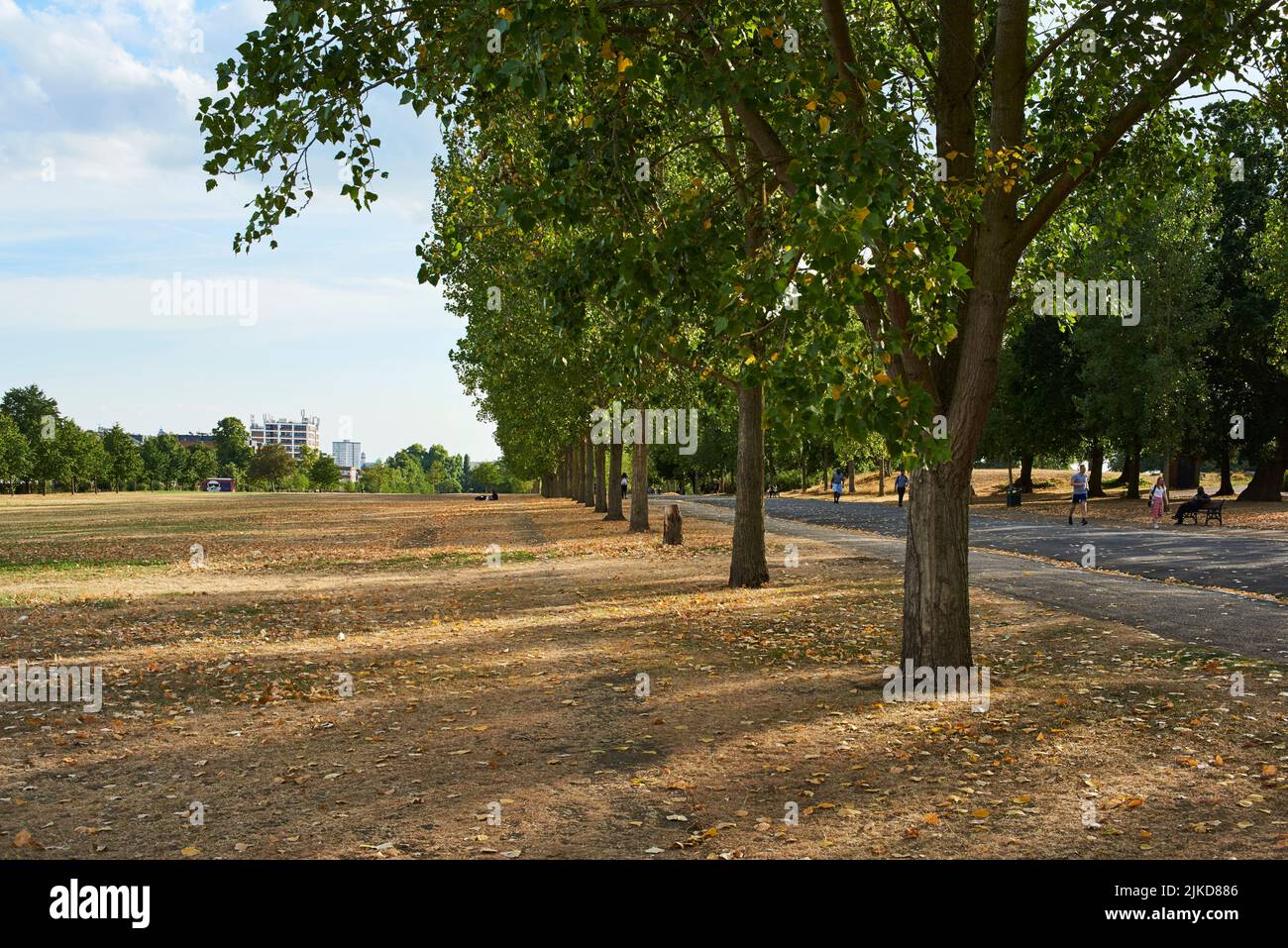 Finsbury Park, al norte de Londres, Reino Unido, en condiciones de sequía a principios de agosto de 2022 Foto de stock