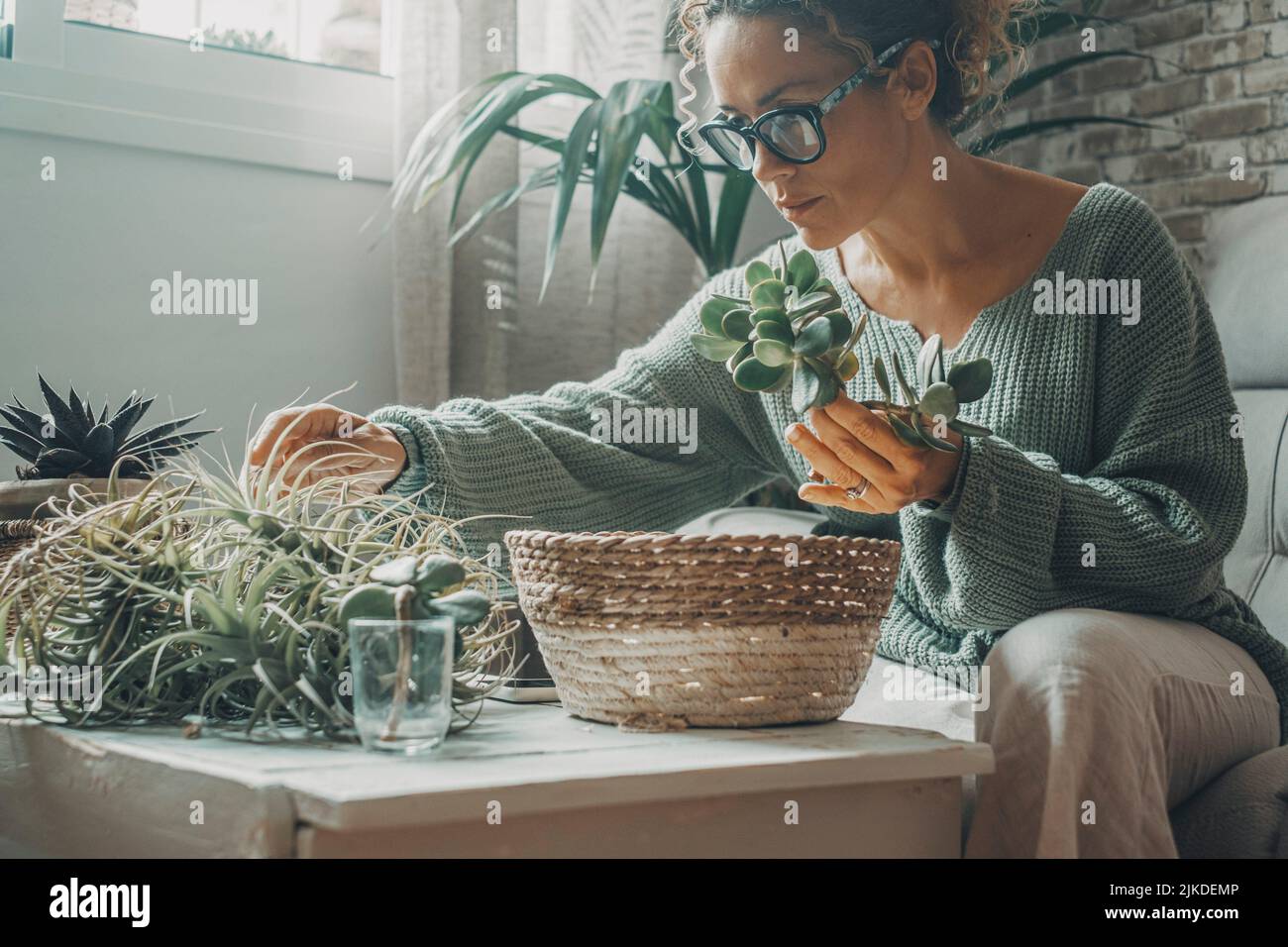 Una mujer disfruta de la jardinería en casa trabajando con plantas. Actividades de ocio en casa. Mujer con gafas trabajan con la naturaleza verde dentro de la casa. Foto de stock