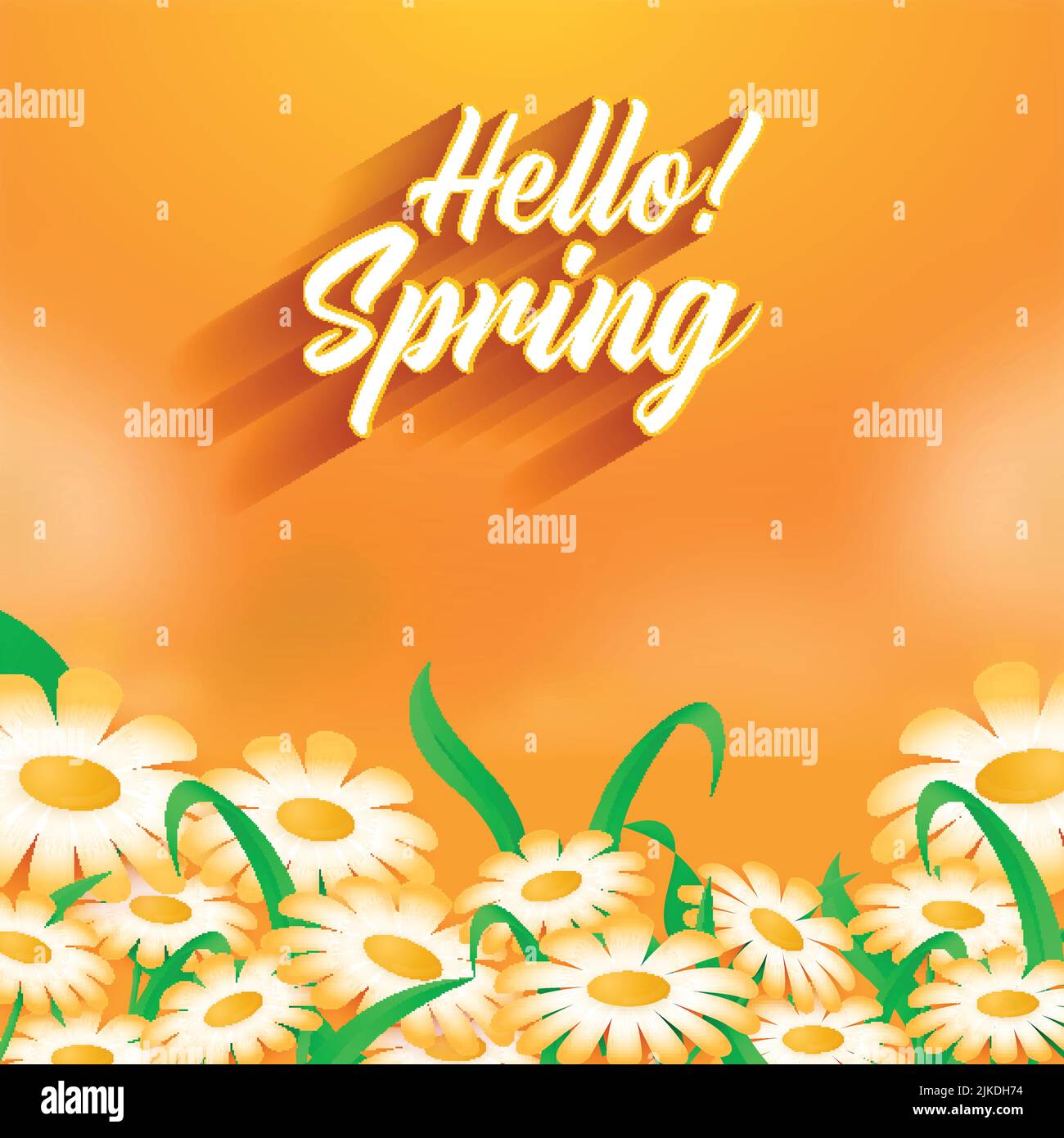Hola Fuente de primavera con flores de margaritas, hojas decoradas sobre  fondo brillante naranja Imagen Vector de stock - Alamy