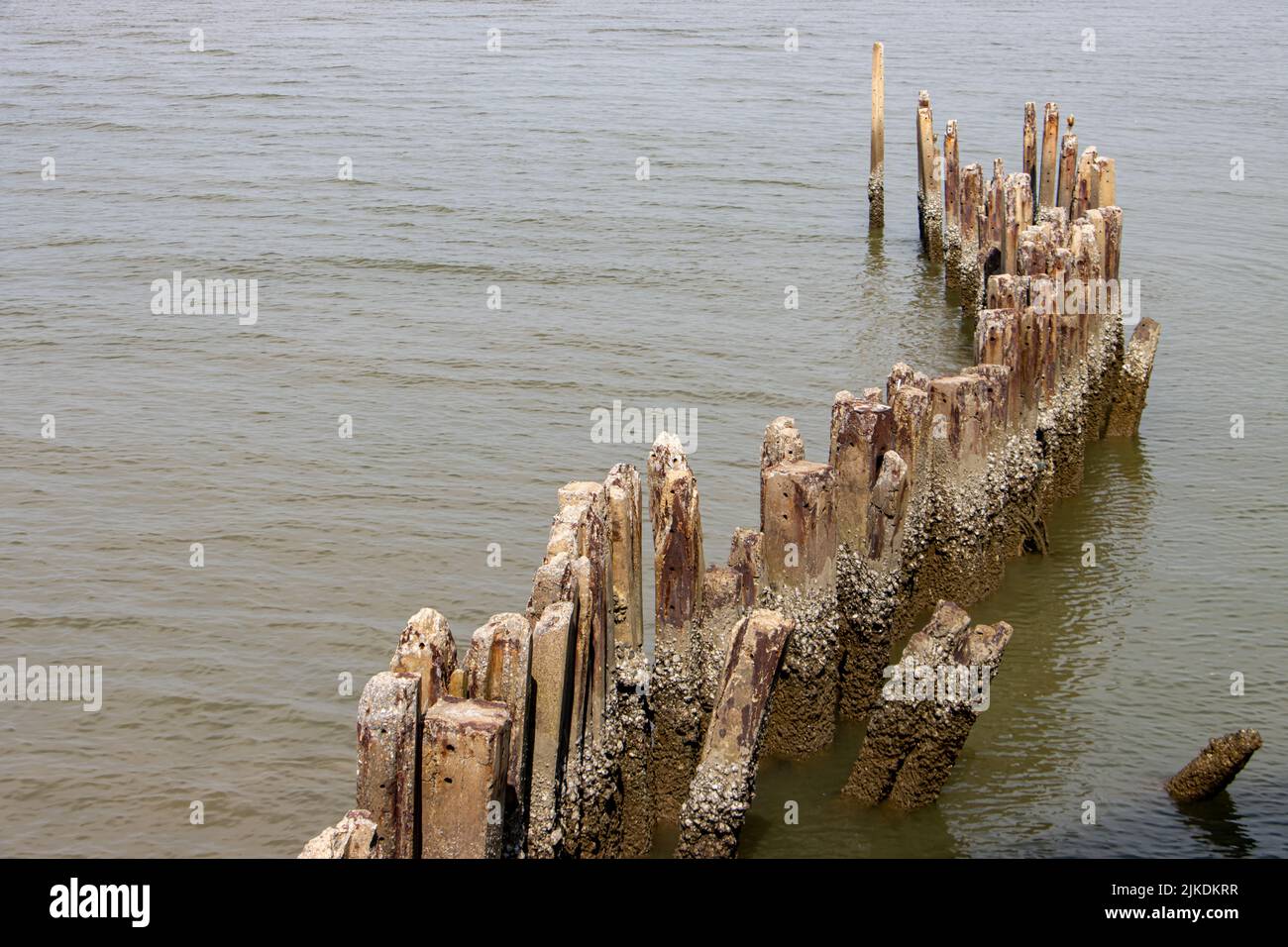 Las columnas de hormigón erosionado sobresalen del agua en la orilla del mar Foto de stock
