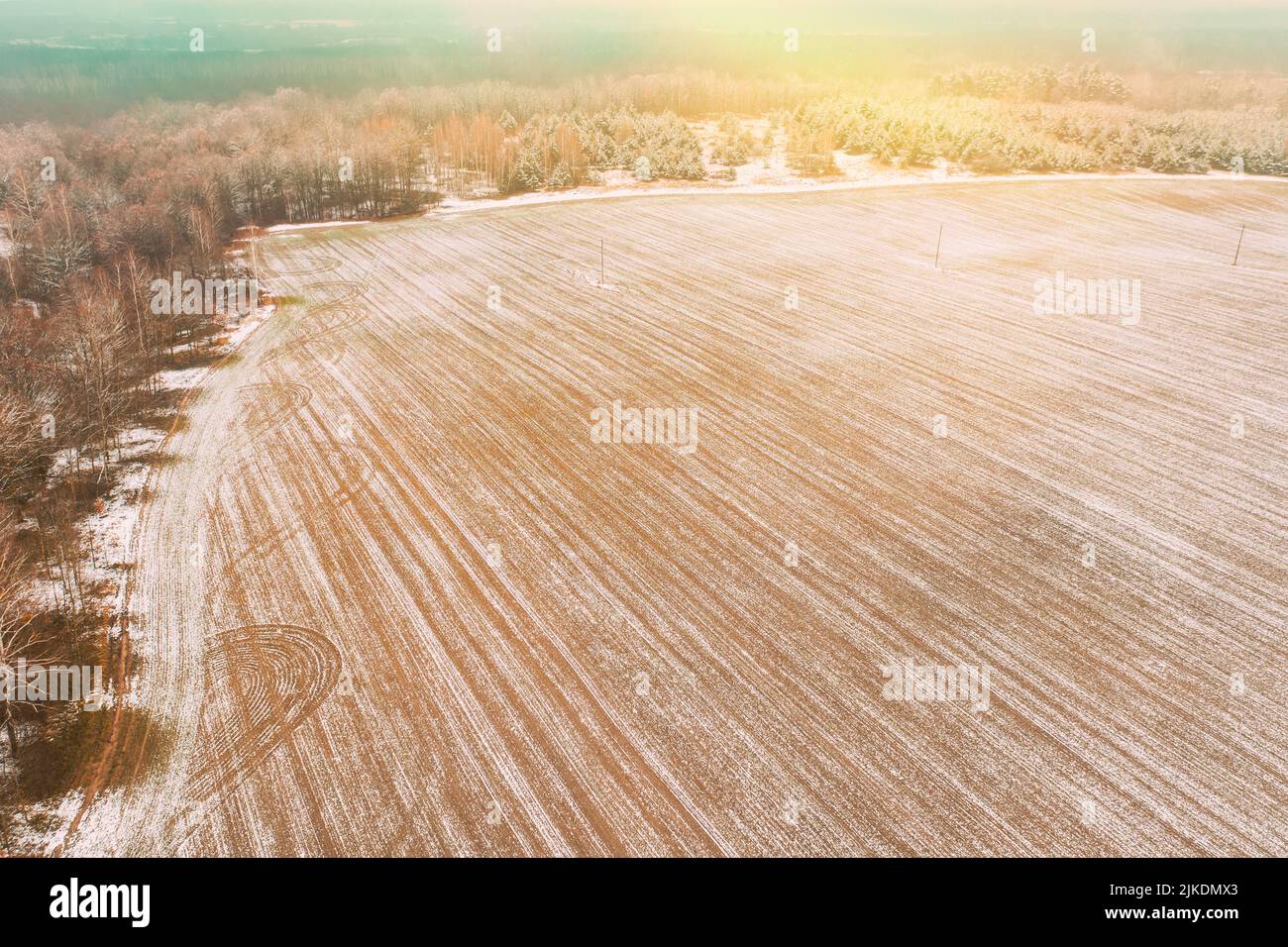 Vista aérea paisaje campo de otoño con líneas de senderos. Vista superior del campo limpio vacío a finales de otoño. Vista de drones vista de pájaro. Alta actitud en Foto de stock
