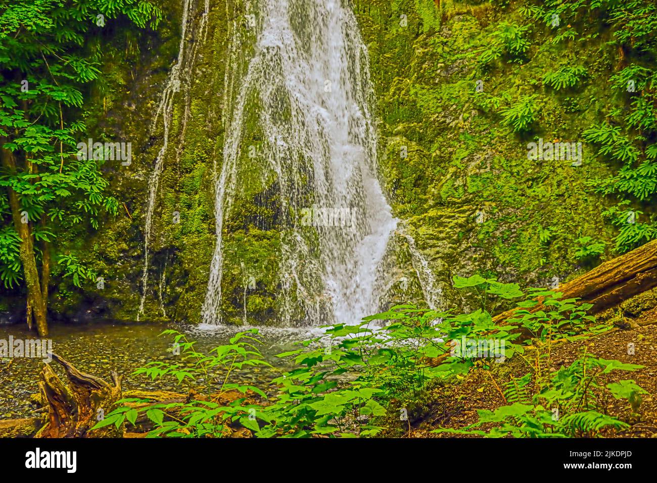 Madison Creek Falls en el Parque Nacional Olímpico cerca de Port Angeles, Washington. Foto de stock