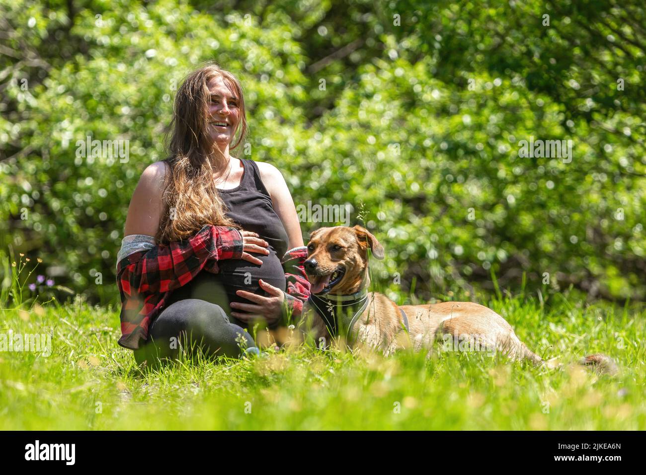 Naturalidad: Una mujer embarazada que disfruta del tiempo con su perro en verano al aire libre Foto de stock