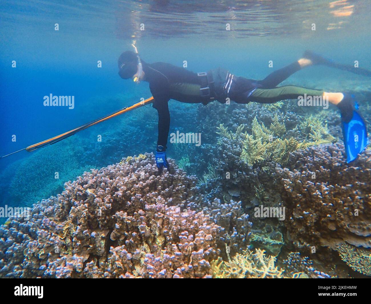 Indonesia Islas Anambas - Pesca con lanza - Buceo Foto de stock