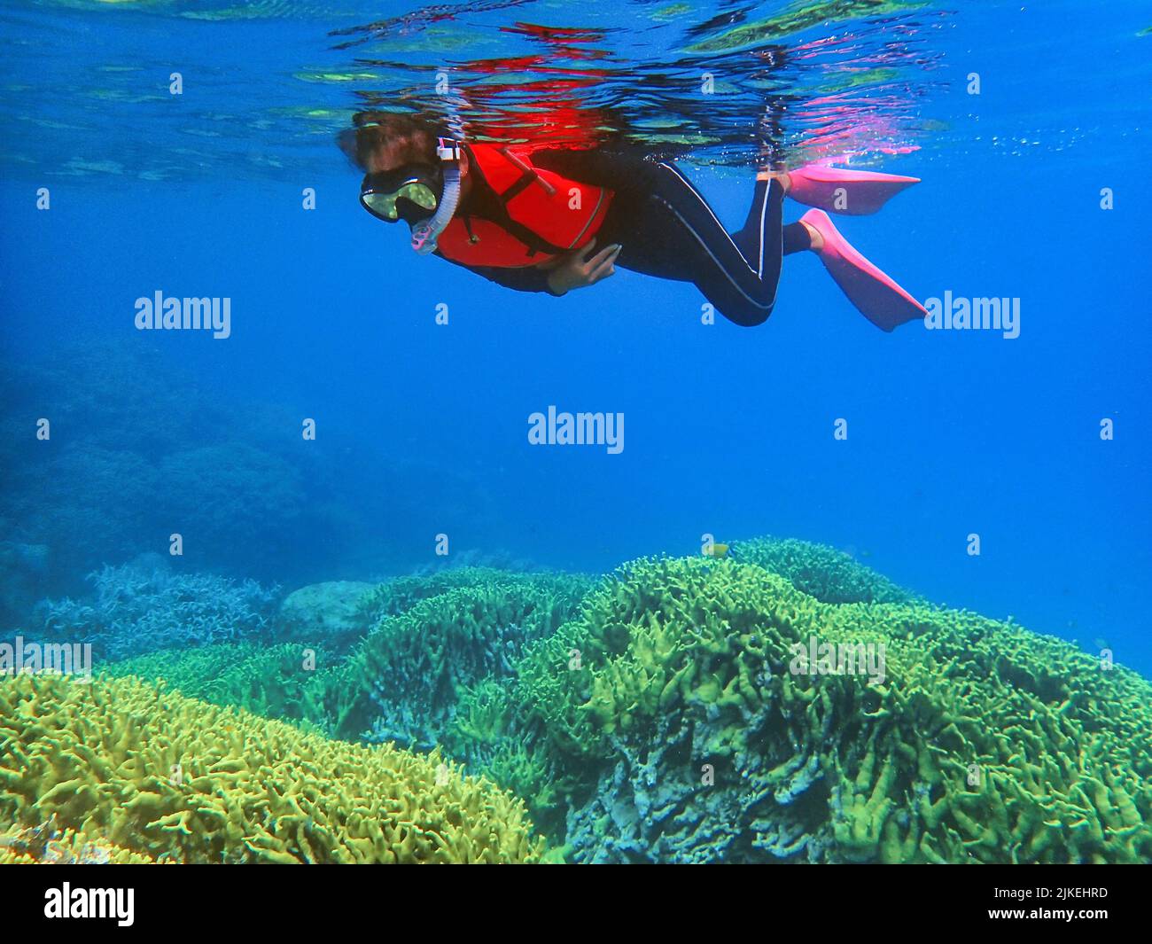 Indonesia Islas Anambas - Mujeres buceando en el arrecife de coral Foto de stock