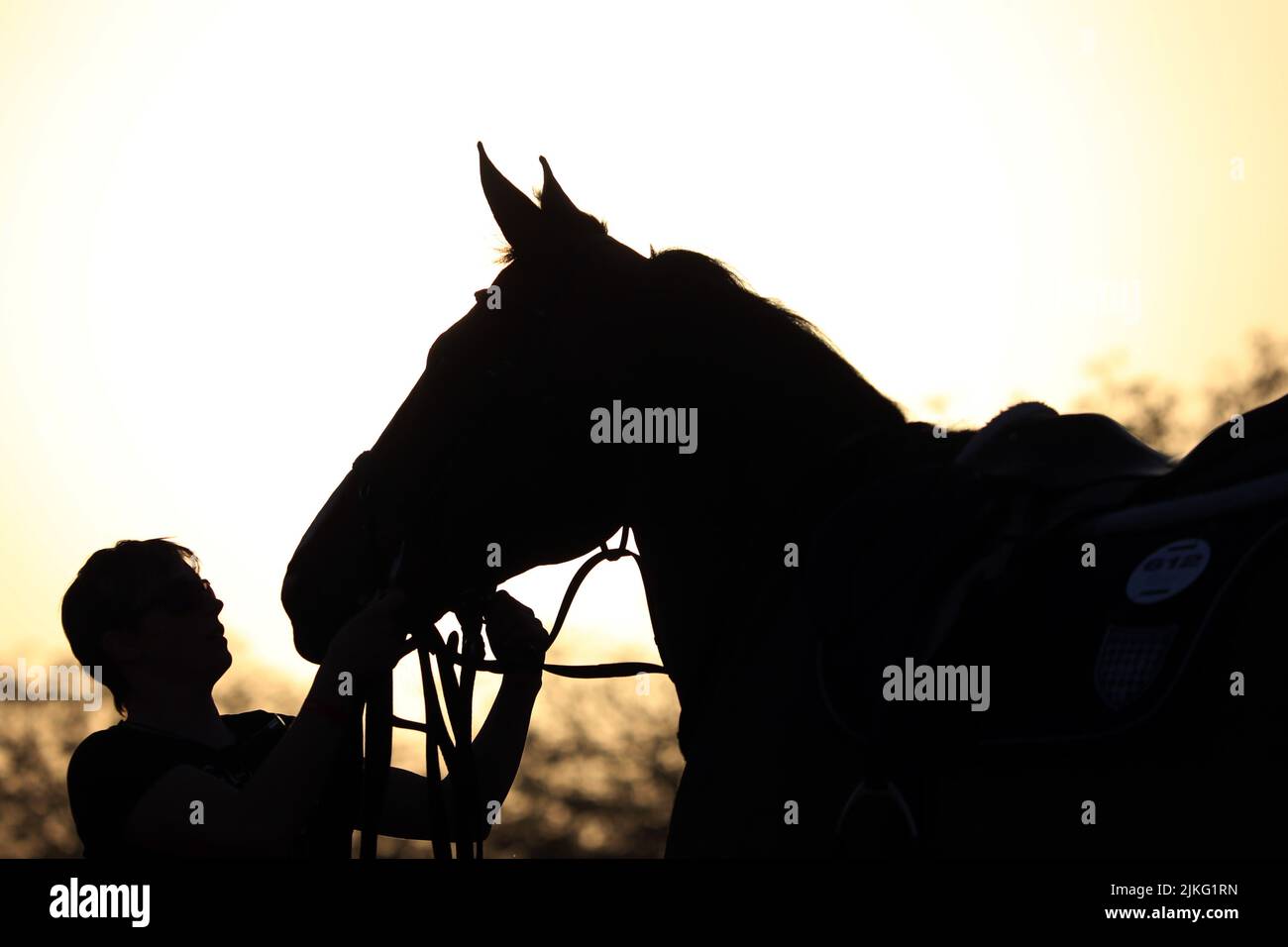 23.02.2022, Qatar, , Doha - Silhouette de mujer y caballo. 00S220223D137CAROEX.JPG [VERSIÓN DEL MODELO: NO, PUBLICACIÓN DE LA PROPIEDAD: NO (c) caro Images / Sorge, h Foto de stock