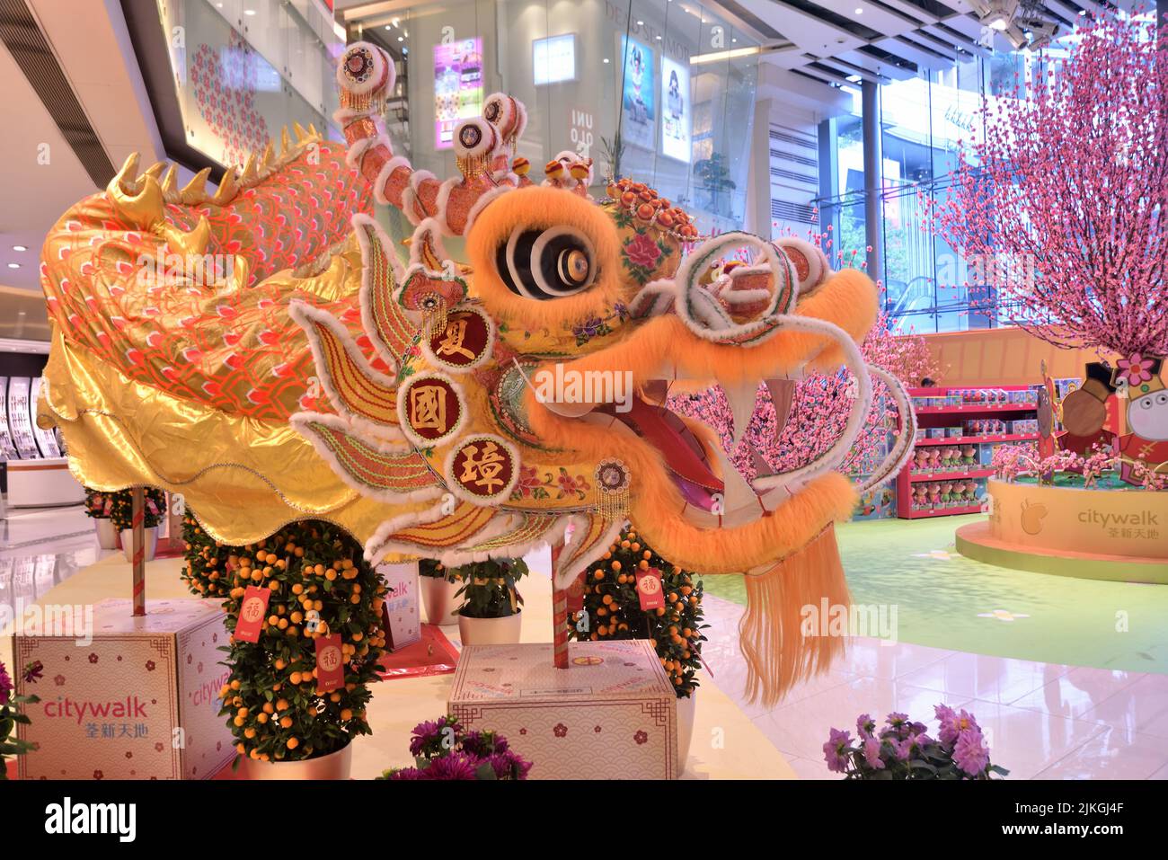 Decoración interior dragón dorado para celebrar el Año Nuevo Chino Foto de stock