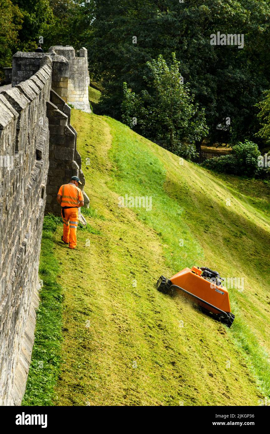 Pendiente de hierba segada por cortacésped robótico naranja controlado a distancia (KommTek RoboFlail) y trabajador en hi-vis - las históricas murallas de la ciudad de York, Yorkshire, Inglaterra, Reino Unido. Foto de stock