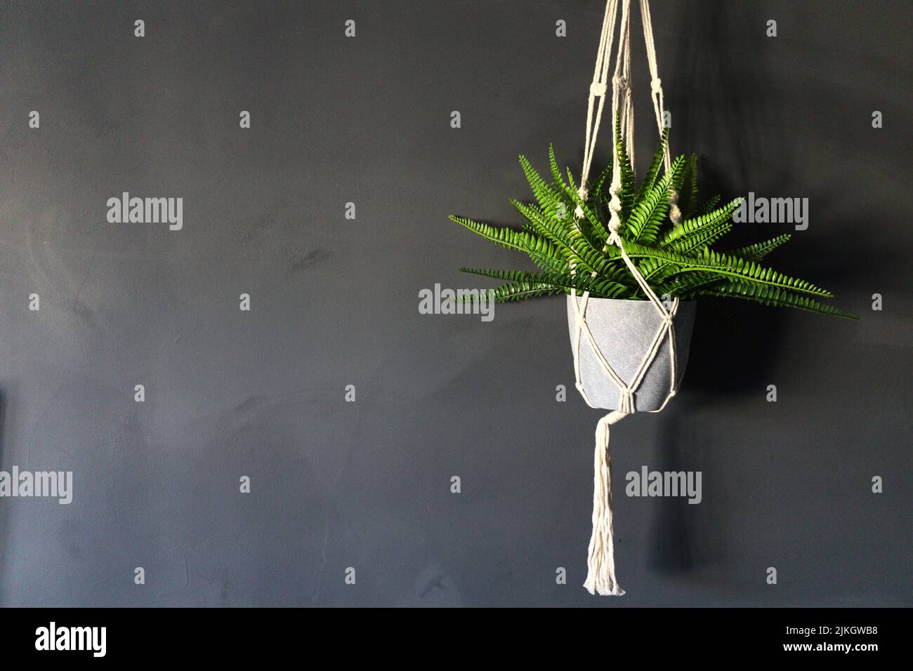 Una maceta verde que cuelga planta adentro contra una pared oscura Foto de stock