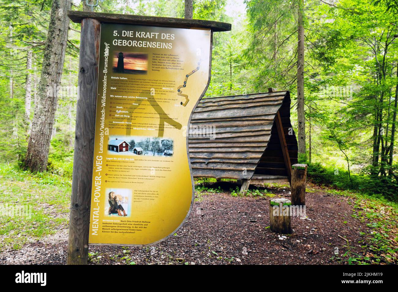 Mental Power Trail, estación de sueño en el bosque, Valle de Leutasch, Seefeld, Tirol, Austria Foto de stock