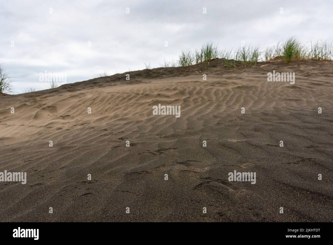 Arena de color oscuro en la playa de Whatipu cerca de Auckland, Nueva Zelanda Foto de stock