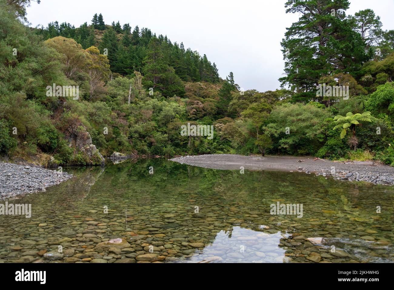 Reflexión sobre la selva tropical en el río Tauherenikau, Isla Norte de Nueva Zelanda Foto de stock