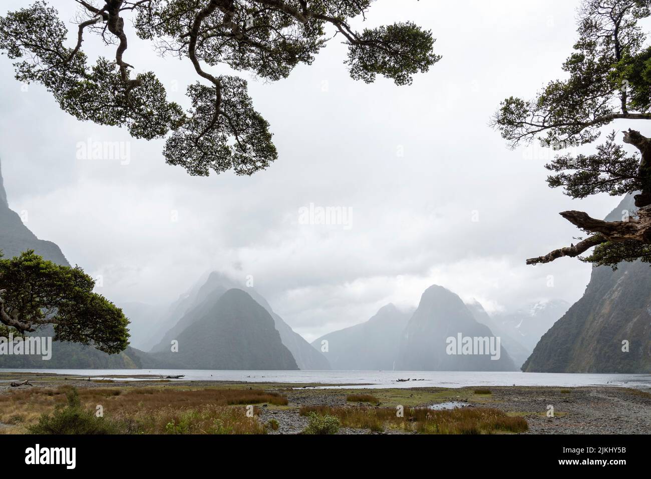 Magnífica vista panorámica de Milford Sound durante el tiempo lluvioso, Isla Sur de Nueva Zelanda Foto de stock