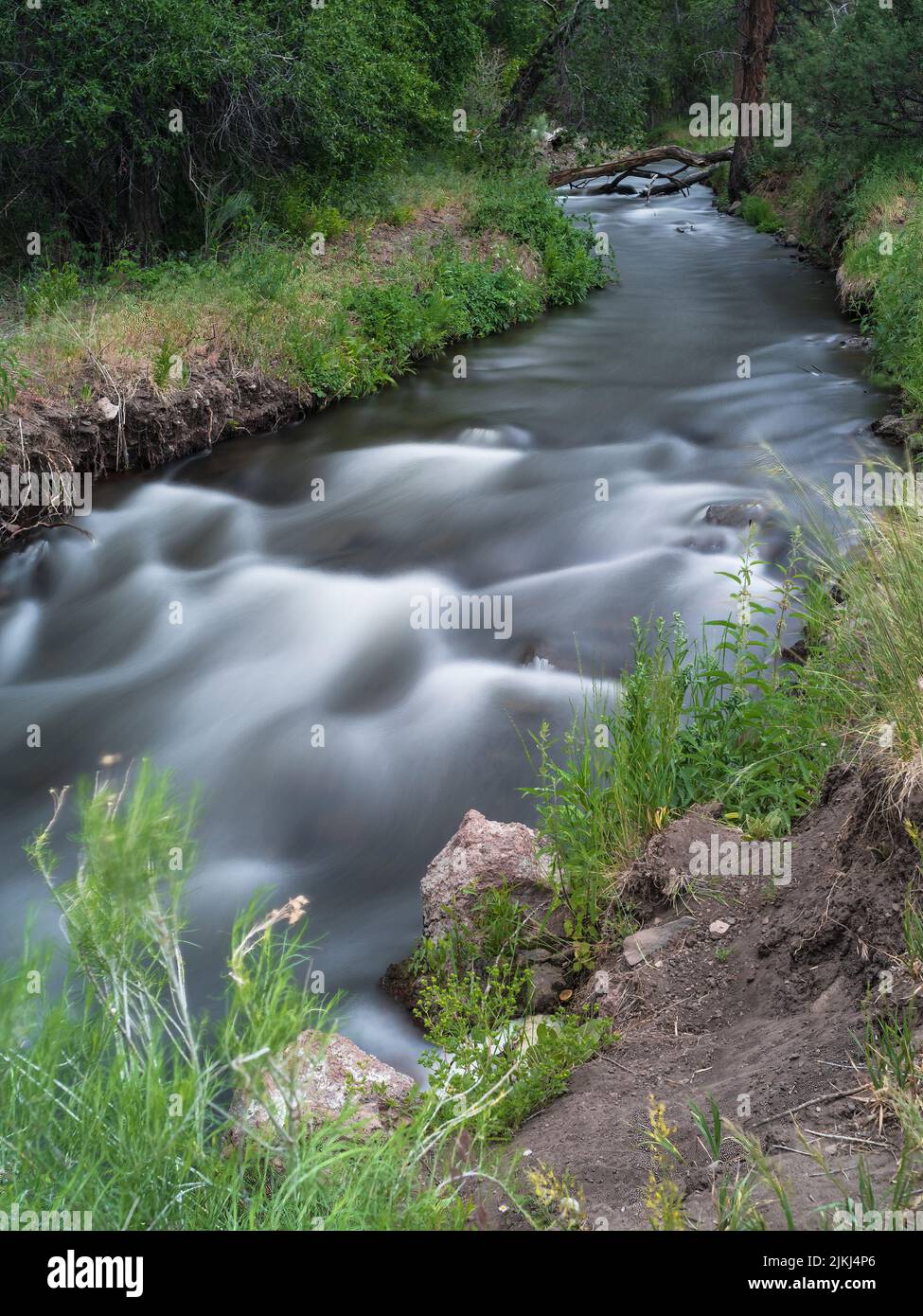 Panguitch Creek, Utah, EE.UU., Foto de stock