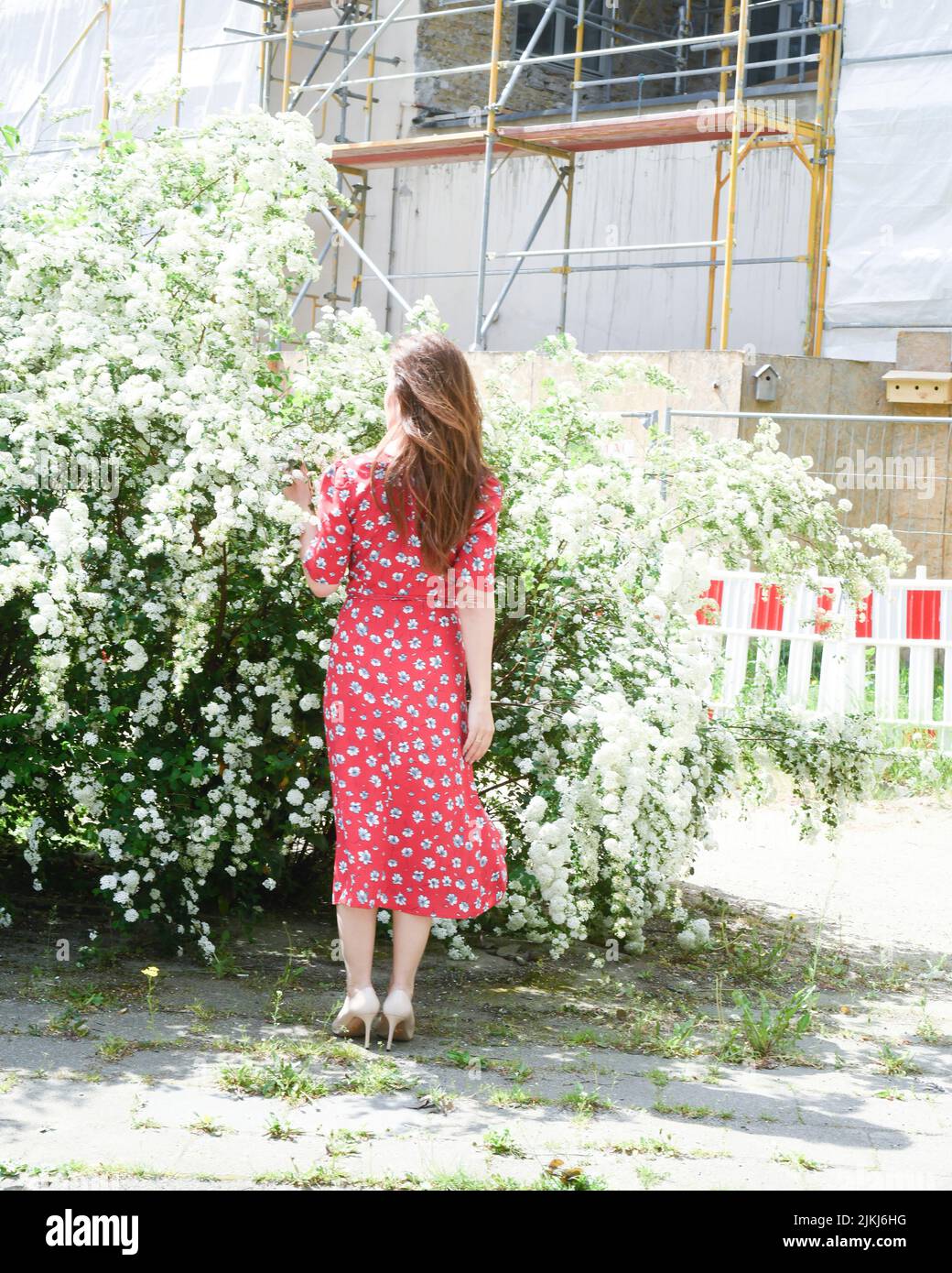 mujer, vista trasera, vestido rojo, irreconocible, flores, casquillos Foto de stock