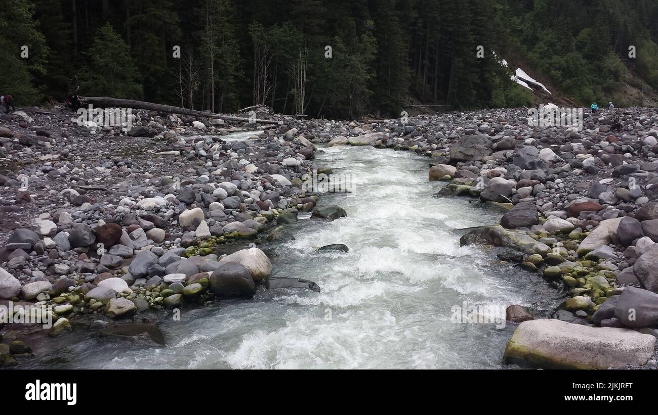 Un pequeño arroyo en el monte Rainier Foto de stock