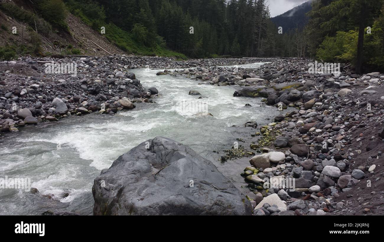 Un pequeño arroyo en el monte Rainier Foto de stock