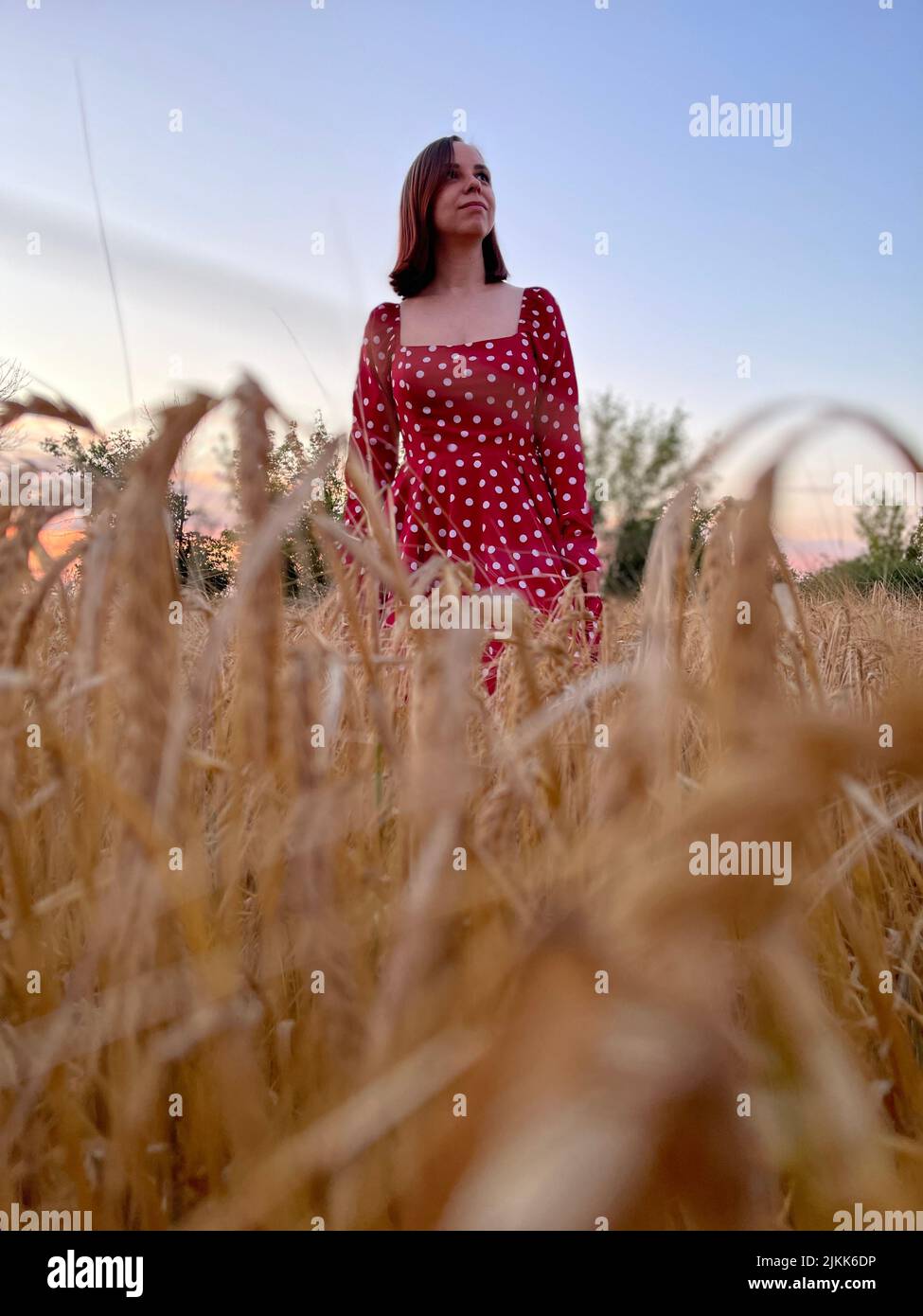 Mujer joven en vestido rojo de pie en el campo de trigo al atardecer Foto de stock