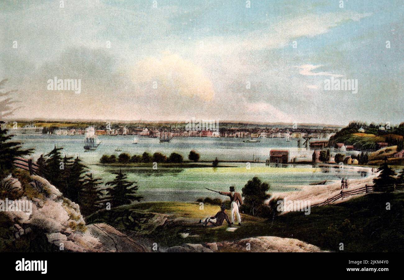 Ciudad de Nueva York desde las alturas de Brooklyn en 1825 Foto de stock