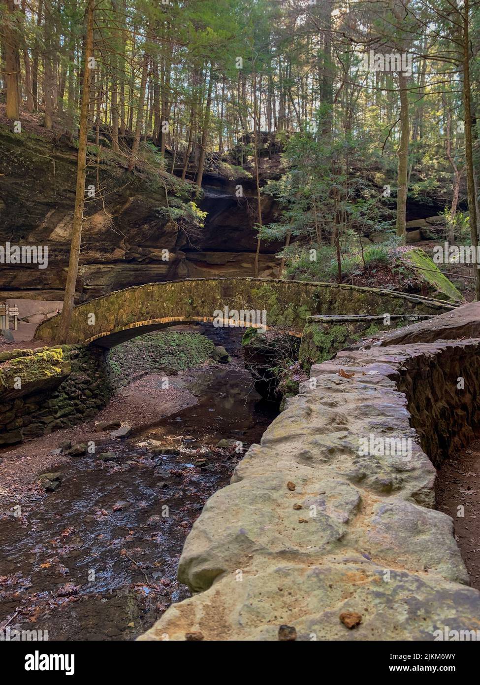 Un pequeño puente de piedra sobre el estrecho arroyo en el bosque musgoso Foto de stock