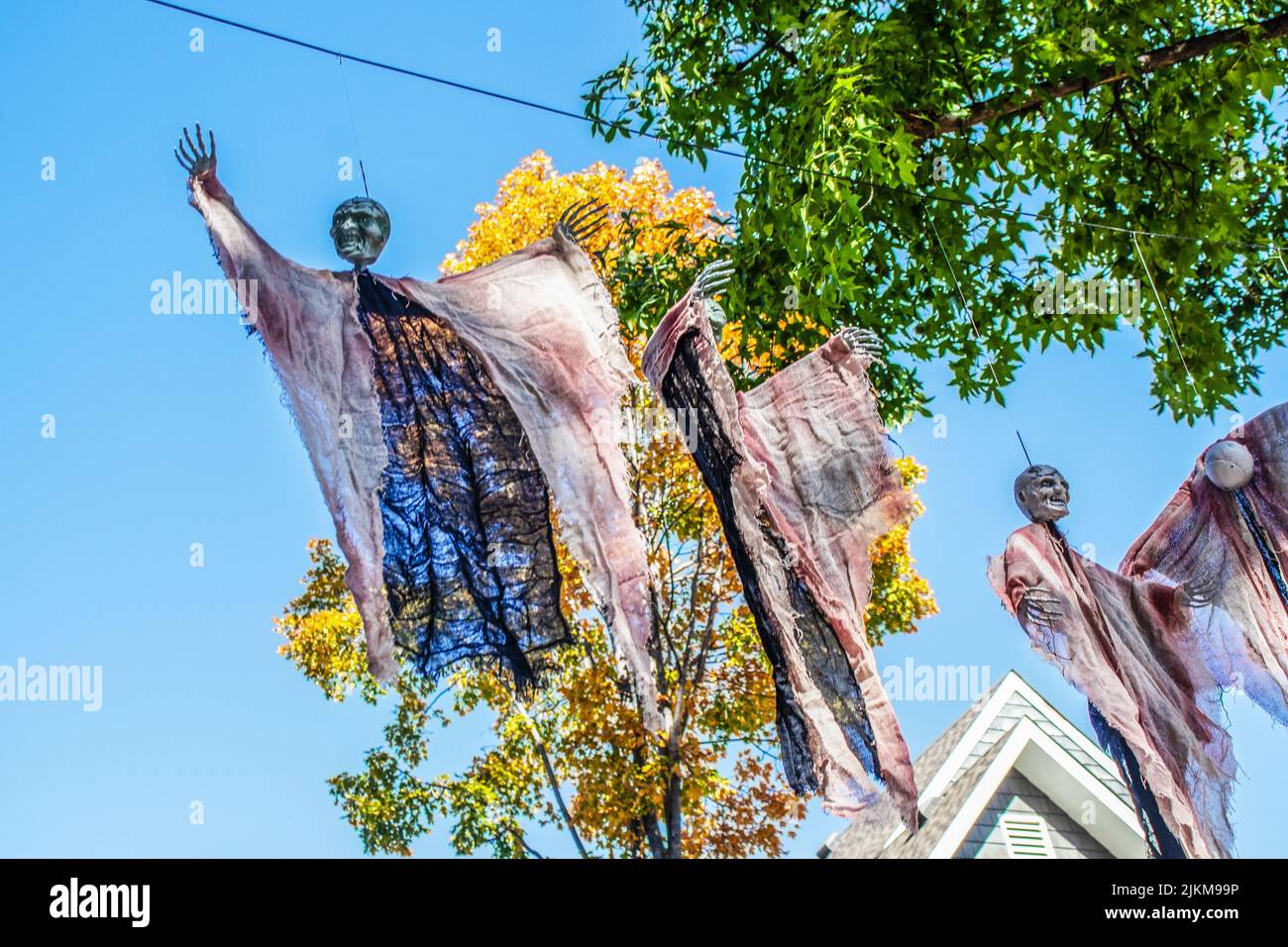 Zombis decorativos de Halloween colgando de árboles altos contra un cielo azul en un barrio americano Foto de stock