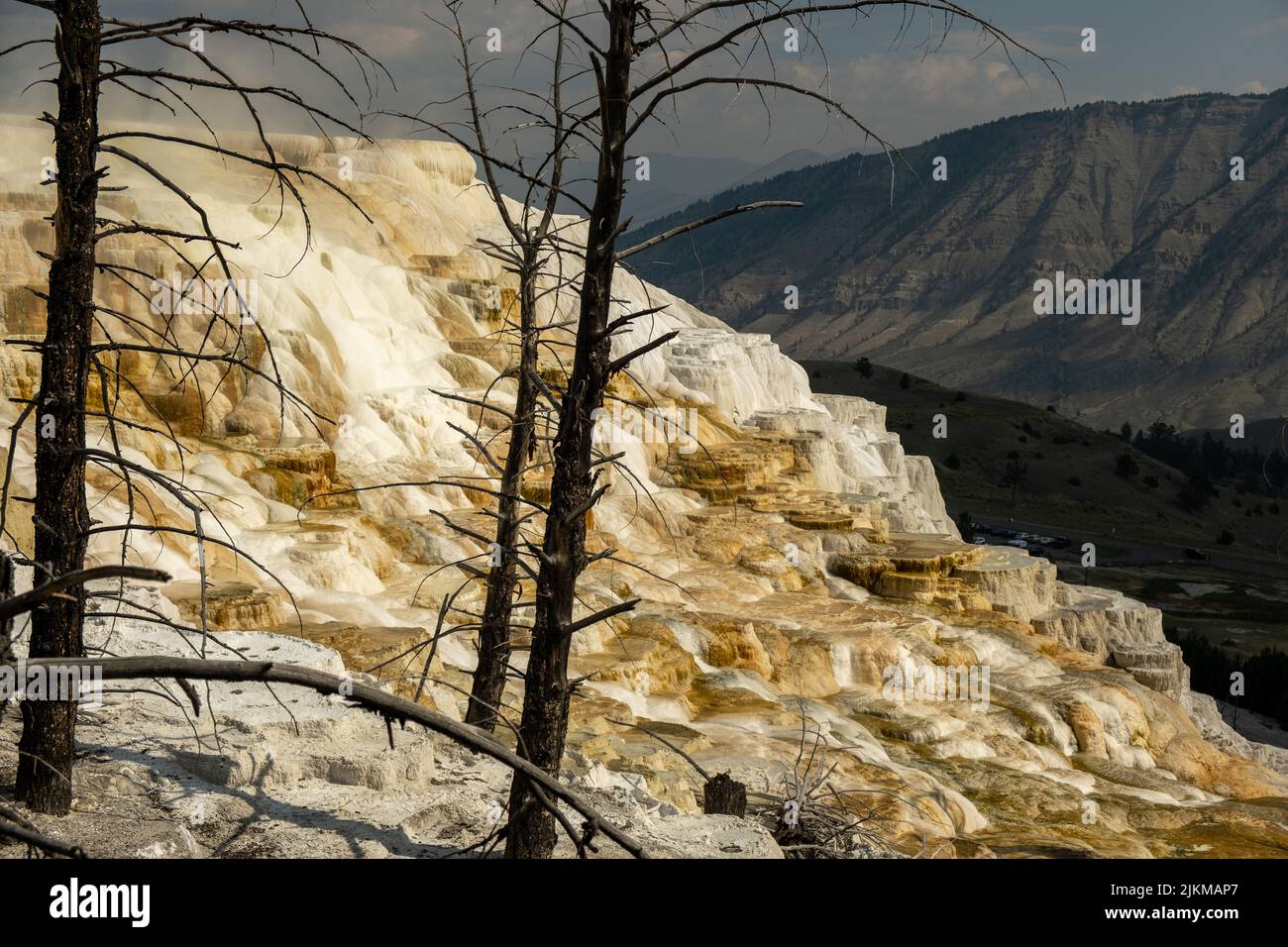 Formación geológica en el Parque Nacional de Yellowstone, EE.UU Foto de stock