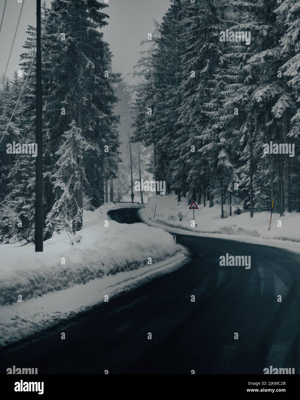Un plano vertical de la carretera con árboles en un día nevado sombrío Foto de stock