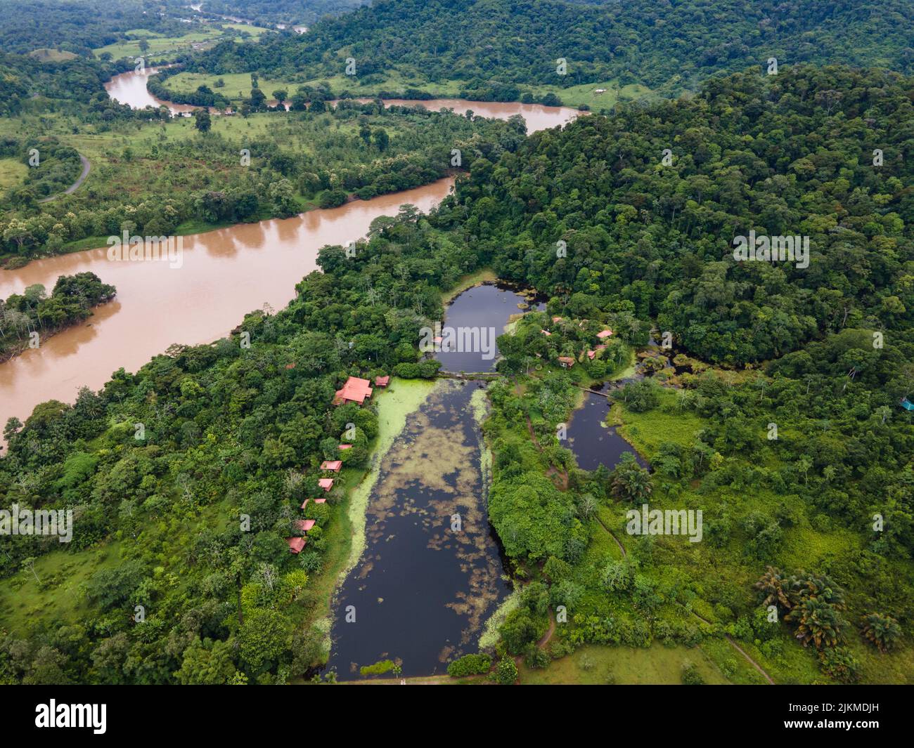 La hermosa vista aérea del río rodeado de bosque verde. Boca Tapada, Costa Rica. Foto de stock